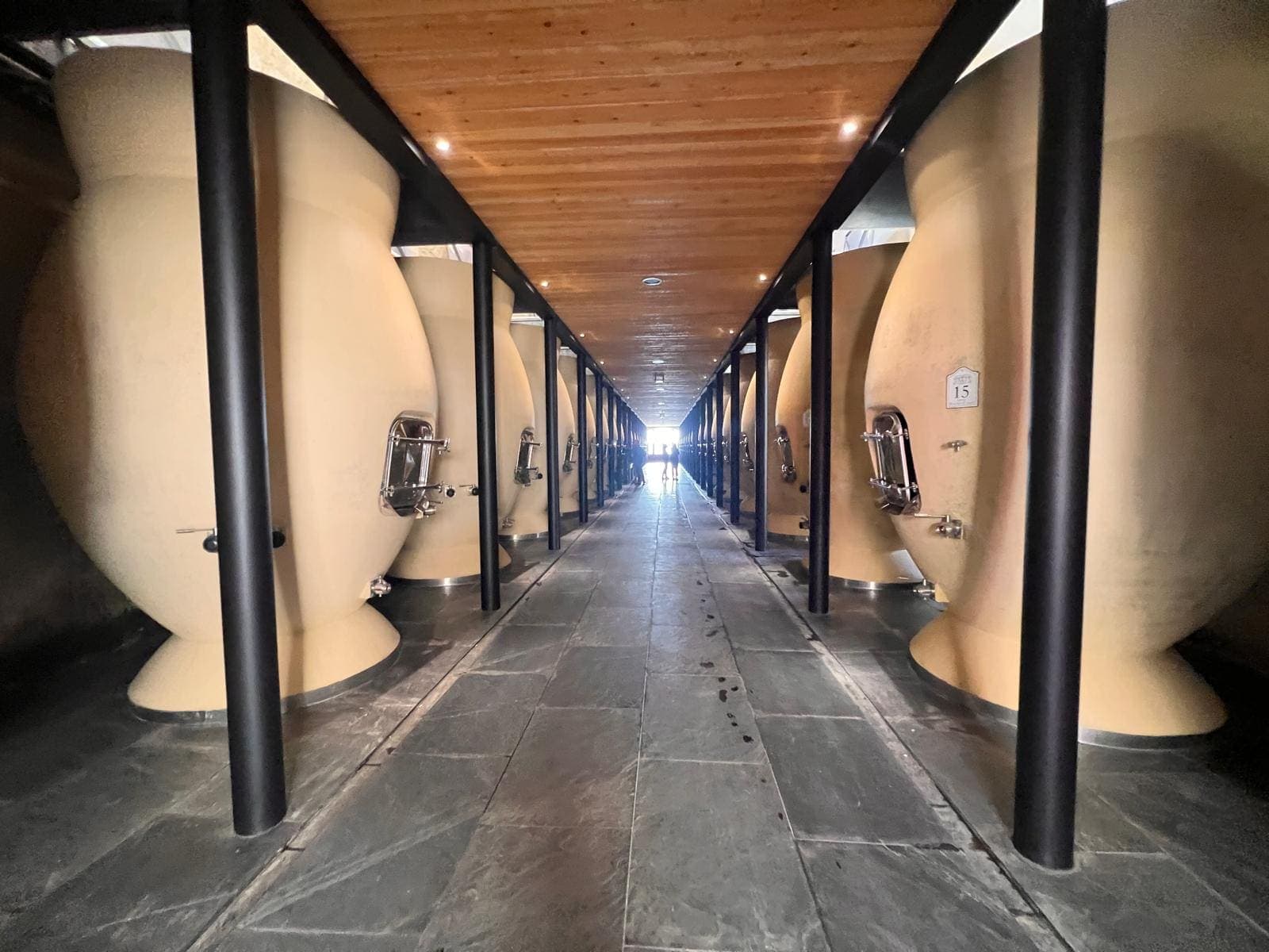 Allée d’un chai contemporain bordée de grandes cuves en béton en forme d’amphore, sous un plafond en bois